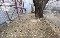 Root Zone Aeration & Deep Root Feeding Service